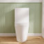 Toilette allongée moderne monobloc Ace 1,6 GPF-111041676-88234901