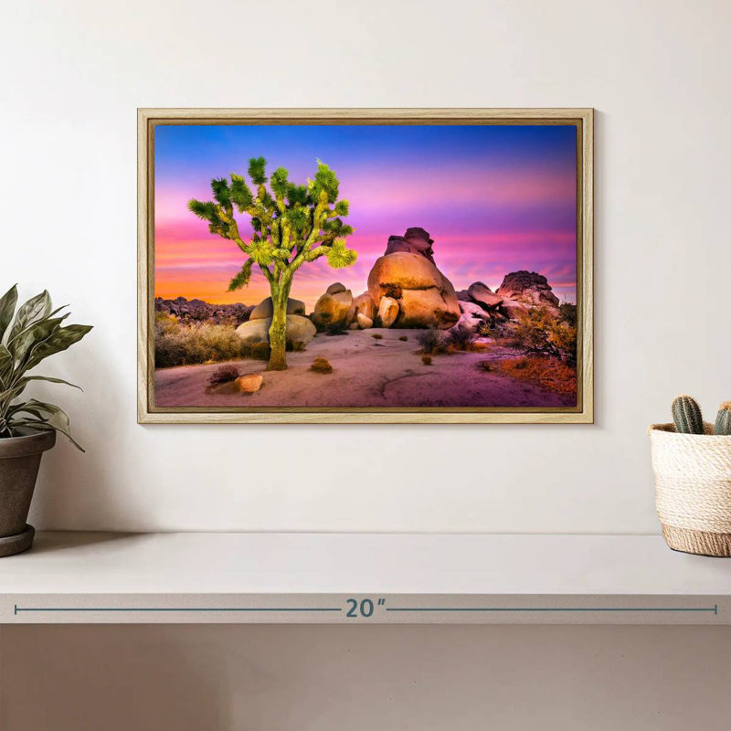 Joshua Tree National Park IV, Cadre flottant en bois naturel, 13 po x 9 po