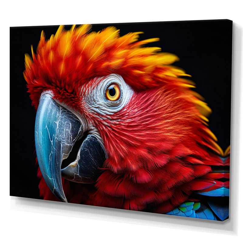 Perroquet rouge perroquet coloré sur toile, Toile tendue, H 12 po x l 20 po x P 1 po