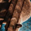 Tapisserie murale «Wildlife Common Wombat»-133634446