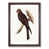 Walnut Framed selected
