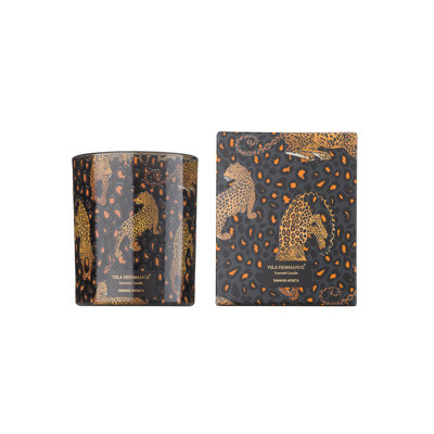 Candle in Jar JUNGLETROPIA Leopard Savage Africa 3.35 diam. x 4.13 in
