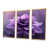Toile avec cadre flottant or