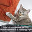 Ruban adhésif anti-griffes pour chat 2 bandes