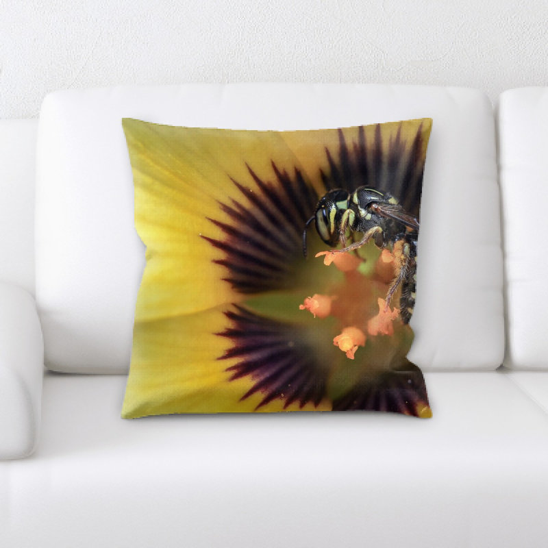 Coussin wasp