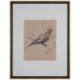Dove Rest II Print by Daughdrill
