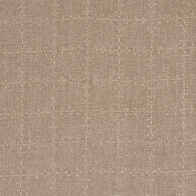 Elin Check Fabric