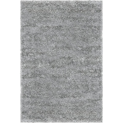Indoor Rug