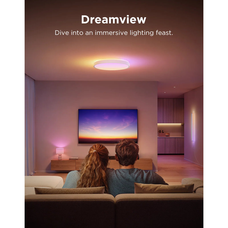  15-Inch RGBICWW Smart Ceiling Light Pro