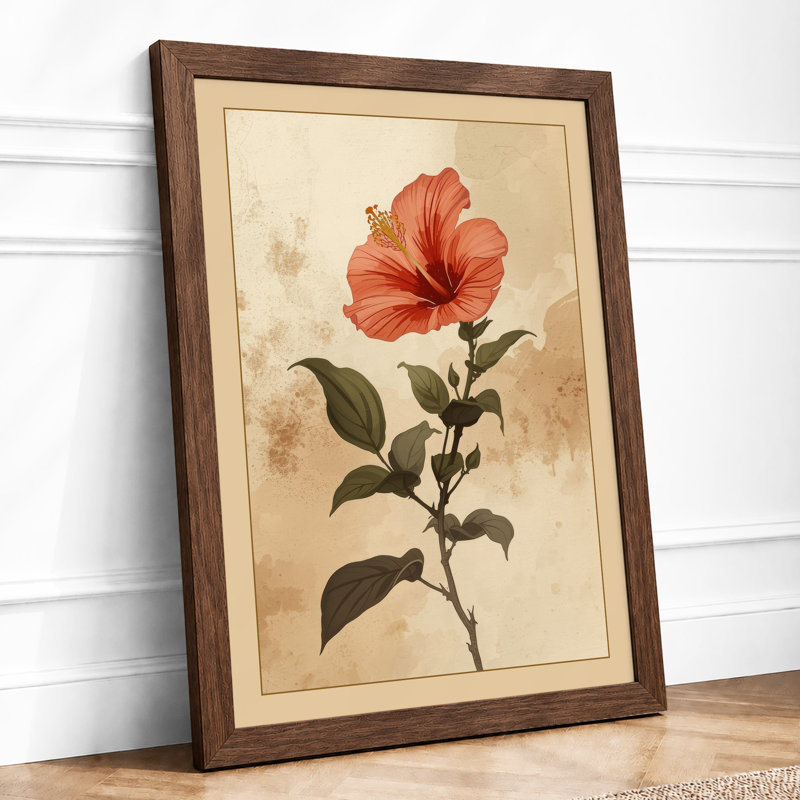 Hibiscus Study Botanical - Framed Print, A2 - 59.4 x 42.0 cm, Walnut