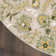 Davar Floral Indoor/Outdoor Area Rug