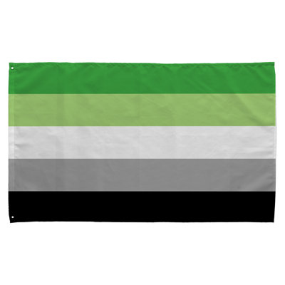 Drapeau de la fierté aromatique - Drapeau