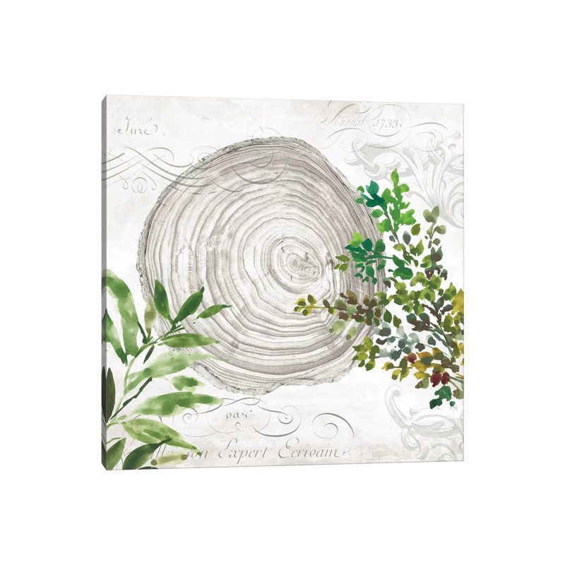 Eco III by Aimee Wilson - Wrapped Canvas Print, 30.48 cm H x 30.48 cm W