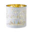 Ouragan moyen citrouille-134679770