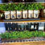 Arrangement de fleurs mixtes