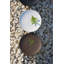 Cobble 8.25" Dessert Plates-888488885