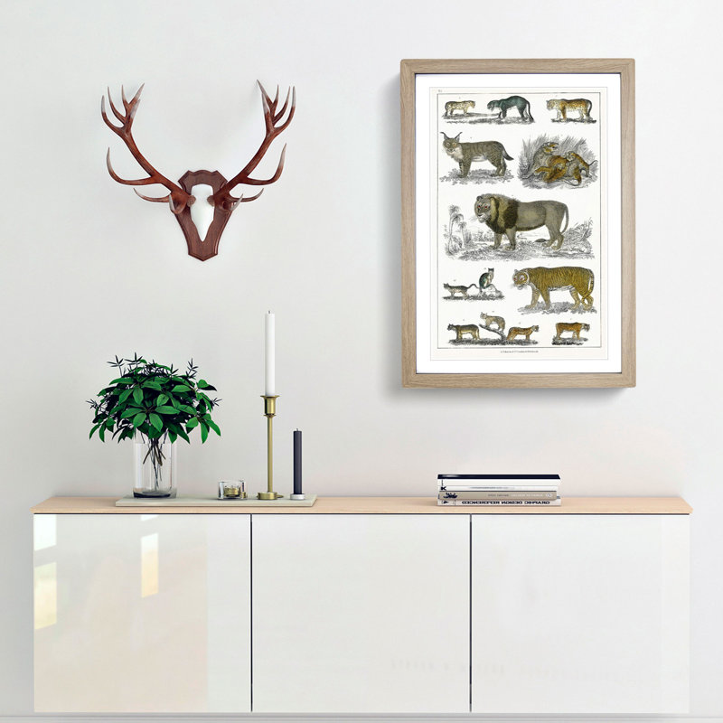Cats & Big Cats by Oliver Goldsmith - Picture Frame Graphic Art Print, 65cm H x 48cm W x 2cm D, Oak Framed