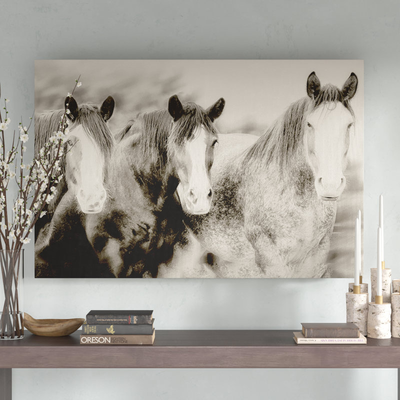 Three Amigos II by PHBurchett - Photograph, 81cm H x 122cm W, Wrapped Canvas