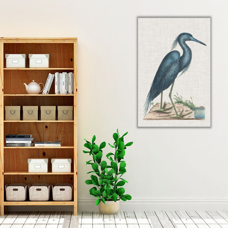 Catesby Heron II - reproduction d'art sur toile, H 30 po x l 20 po