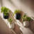 Elayna Venus 2 - Piece Plastic Wall Planter Set-1072974938