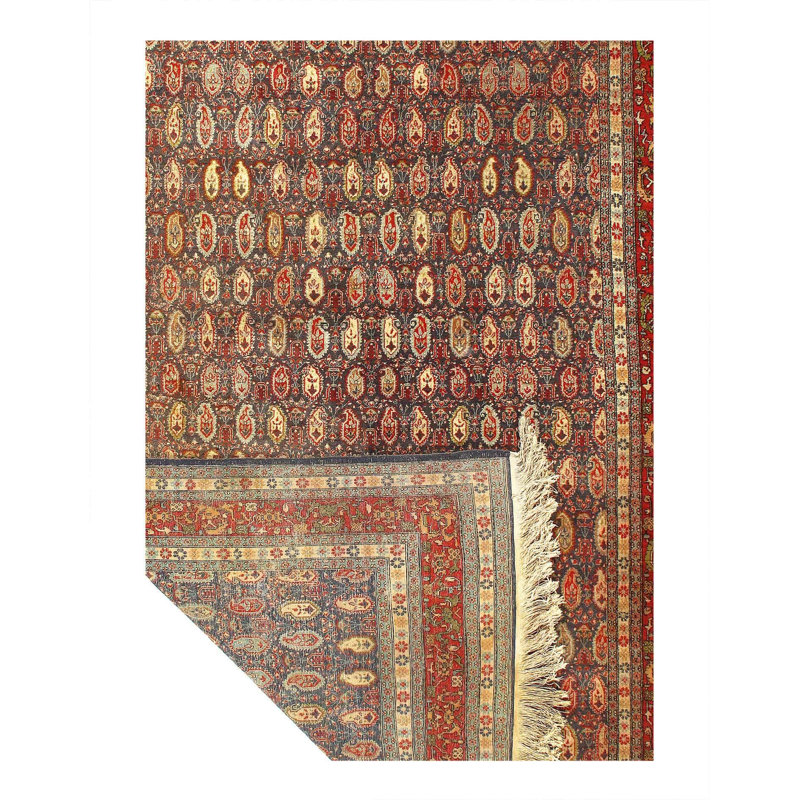 Cotton Oriental Area Rug in Gray