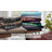 Fifer Lightweight Cotton Blend Oversized Jacquard Farmhouse Mandala Bedspread Set-751377909-741720302