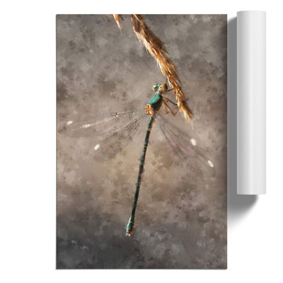 Dragonfly Vol.4 - Unframed Graphic Art