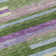  Chayden Area Rug with Non-Slip Backing