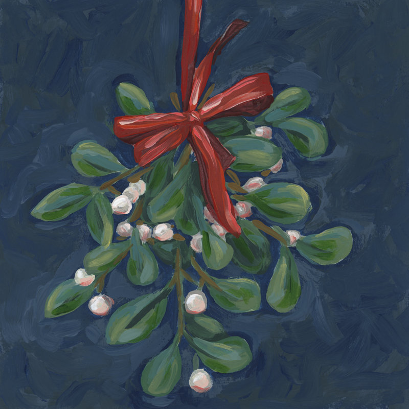 Tarrell Midnight Mistletoe I by June Erica Vess - Wrapped Canvas Print, 122 cm H x 122 cm W