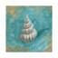 Treasures From The Sea II by Danhui Nai - Print on Canvas-1759703750-1759703744