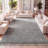 Felicdad Shag Plush Tassel Charcoal Rug-74087562