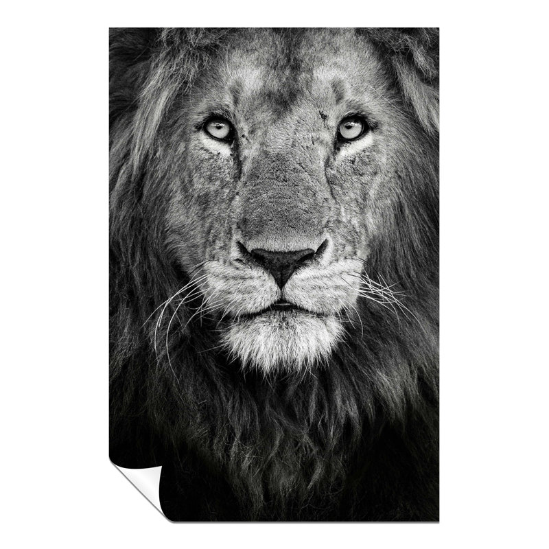 Lion King Face Portrait - No Frame Print, 46cm H x 31cm W x 0.5cm D
