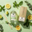 Recharge pour diffuseur d'eucalyptus