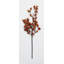 Berry Spray-322590407