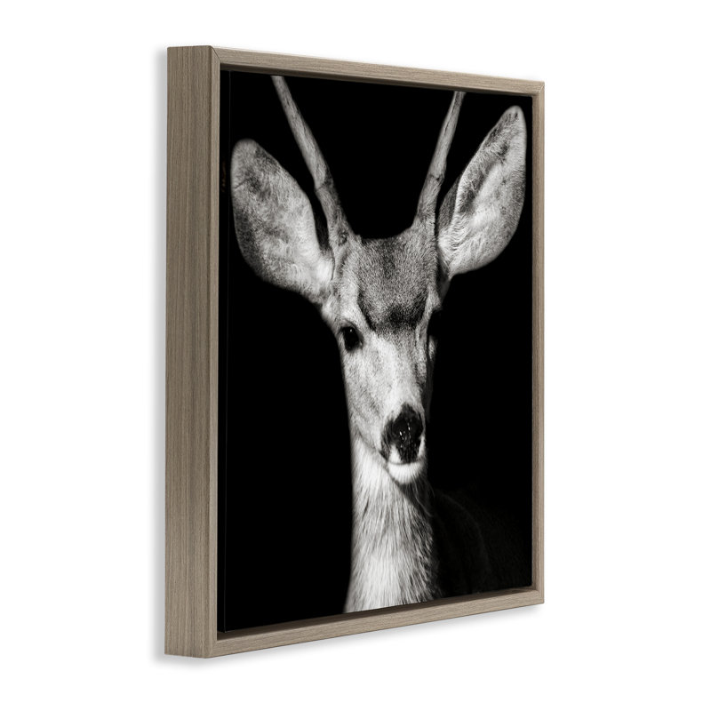 «Gazing Deer Portrait» par Kathy Mansfield, Cadre flottant orme Montalcino, H 25 po x l 25 po