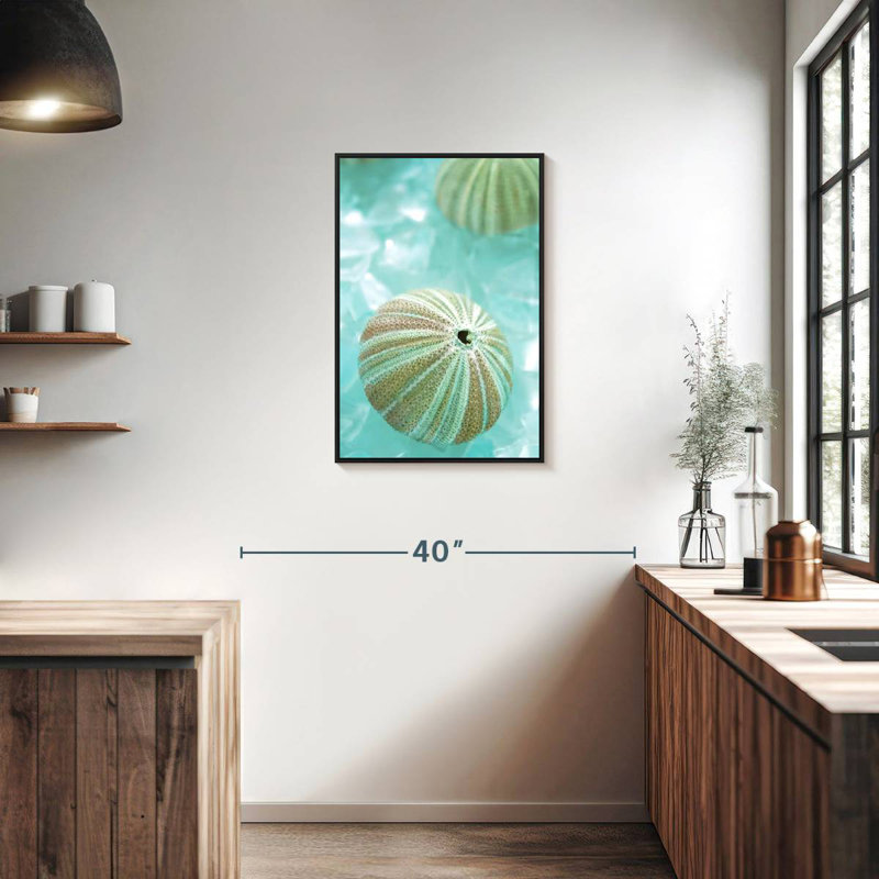 Verre de mer IV, Cadre flottant noir, 21 po x 31 po