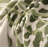 Dustproof Sofa Cover, Cat Scratch And Non-Slip Sofa Throw-103621293