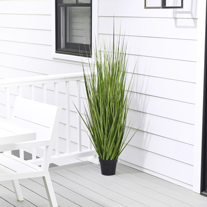 Herbe panachée 60 po UV UV, 60 in x 17 in