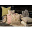 Blush Bloom Pillow Cover & Insert-1212050717