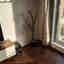 Photos des clients 1 de 1