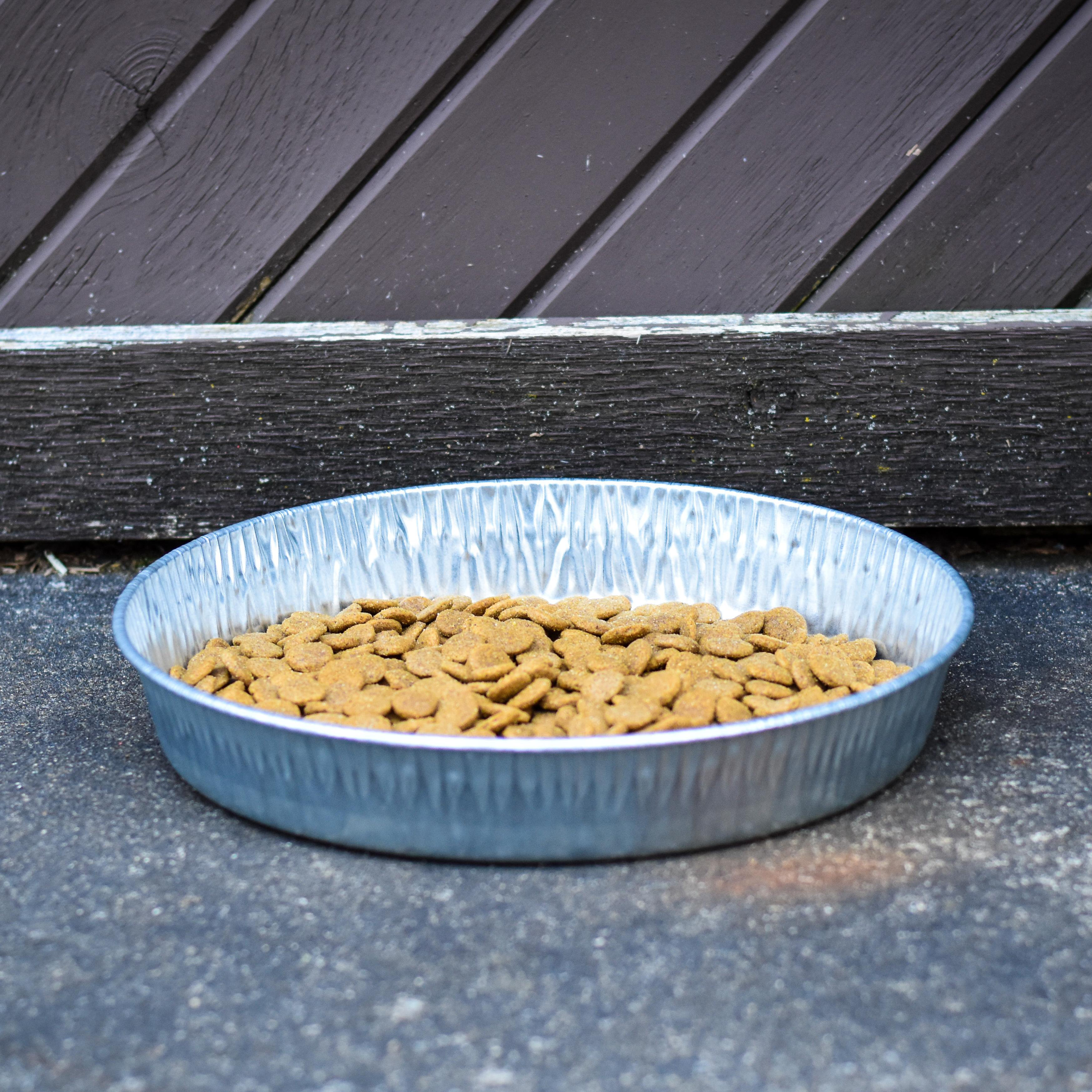 Bergan Pet Products Galvanized Pet Feeder Wayfair