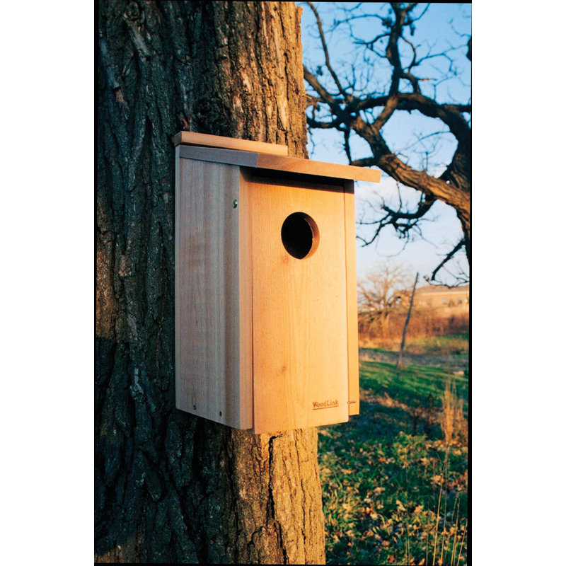20-Inch Tan Cedar Owl and Kestrel Nesting Box