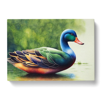 Duck Watercolour Vol.2 - Wrapped Canvas