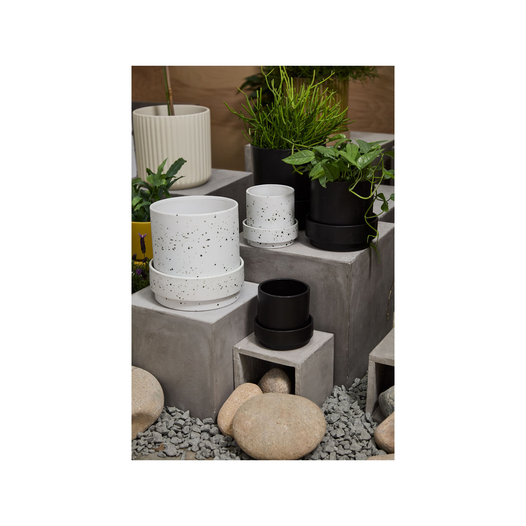 Bridgeway Pot with Saucer, 7.75" H x 8" W x 8" D