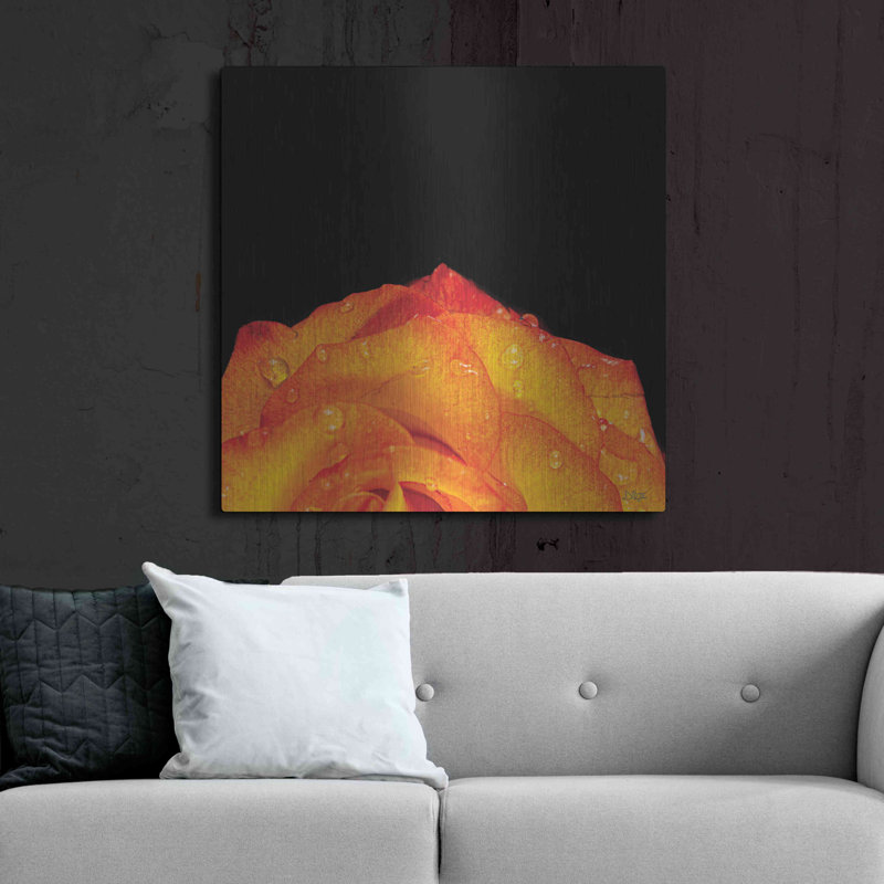 Art mural en métal Latitude Run® «Orange Petals» par Donnie Quillen, 36" H x 36" W
