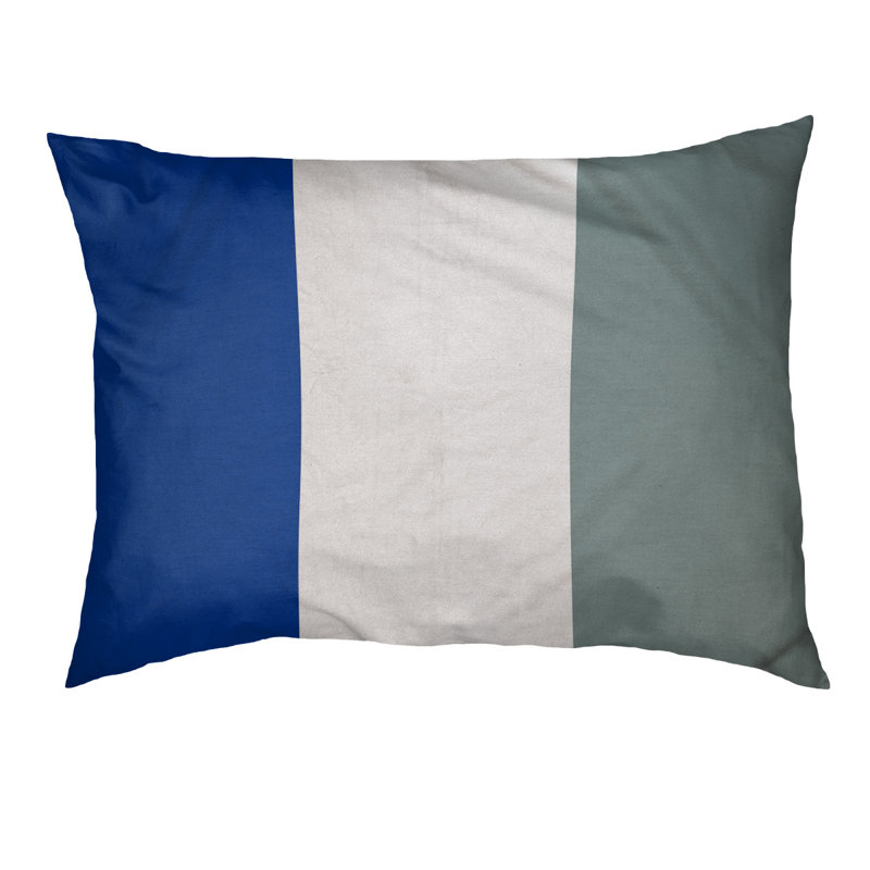 Coussin pour chien Arizona Tempe, Moyen (l 28 po x P 18 po x H 6 po), Bleu / blanc / argent