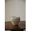 Camargo Surreal Vase-562655787