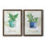 Basilic en pot - ensemble de 2 peintures sur toile encadrées-864886437-864886618