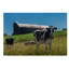 « laiterie farm rustique », reproduction d’impression sur toile tendue-31973659