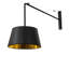 1 - Light Swing Arm